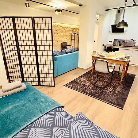 Skaists Kiegelu Studijas Dzivoklis Rigas Centra *