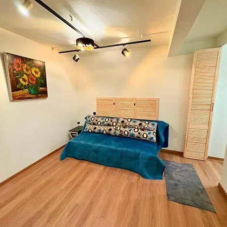 Skaists Kiegelu Studijas Dzivoklis Rigas Centra